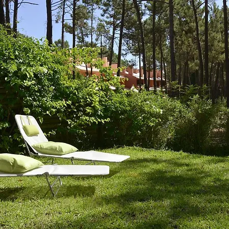 Exciting * 차르네카